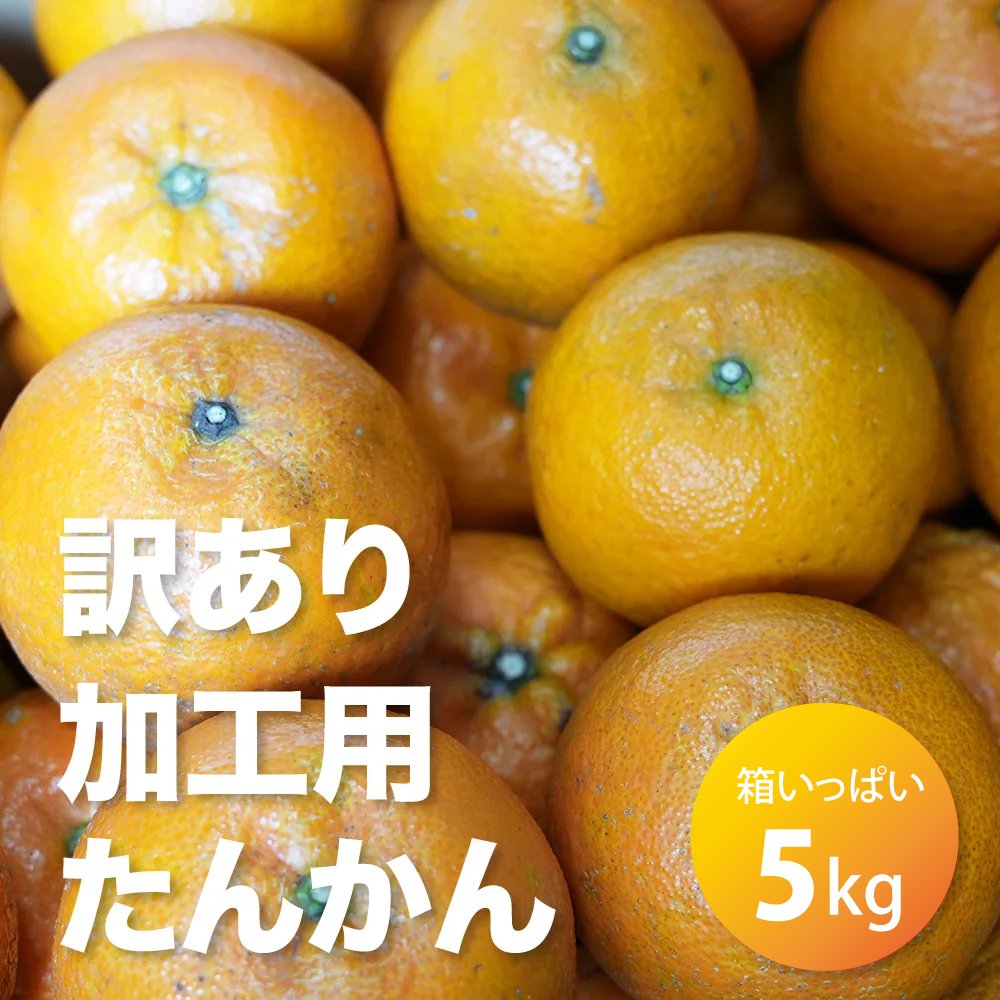 加工用】ワケあり奄美大島産たんかん 5kg【送料無料】 - 奄美大島特産