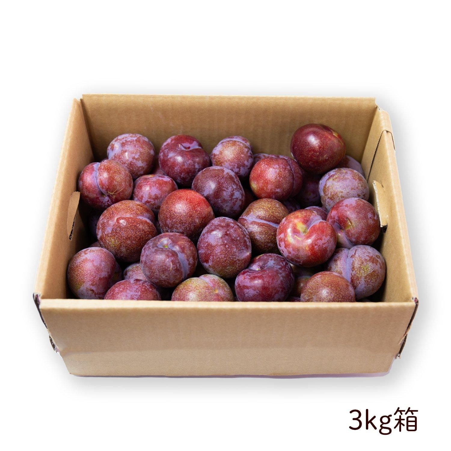 奄美大島産 すもも プラム 約5kg 加工用（C級品） ご家庭用 M、L