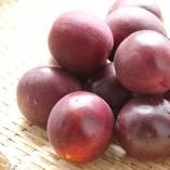 奄美大島特産品販売ショップ がじゅMarine