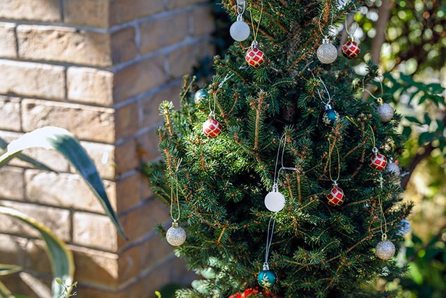 クリスマス リトルサンタ クリスマスツリー 小さい 飾り付き 可愛い かわいい
