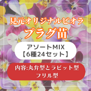 <img class='new_mark_img1' src='https://img.shop-pro.jp/img/new/icons15.gif' style='border:none;display:inline;margin:0px;padding:0px;width:auto;' />ꥸʥӥץ饰 MIX624ĥåȡ
