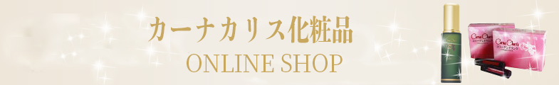 ʥꥹ ONLINE SHOP