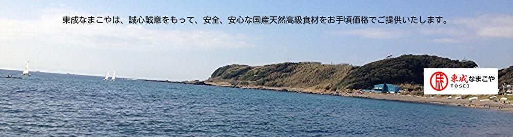 北海道黒ナマコ 1kg - 東成株式会社