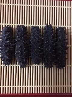 北海道黒ナマコ 500g - 東成株式会社
