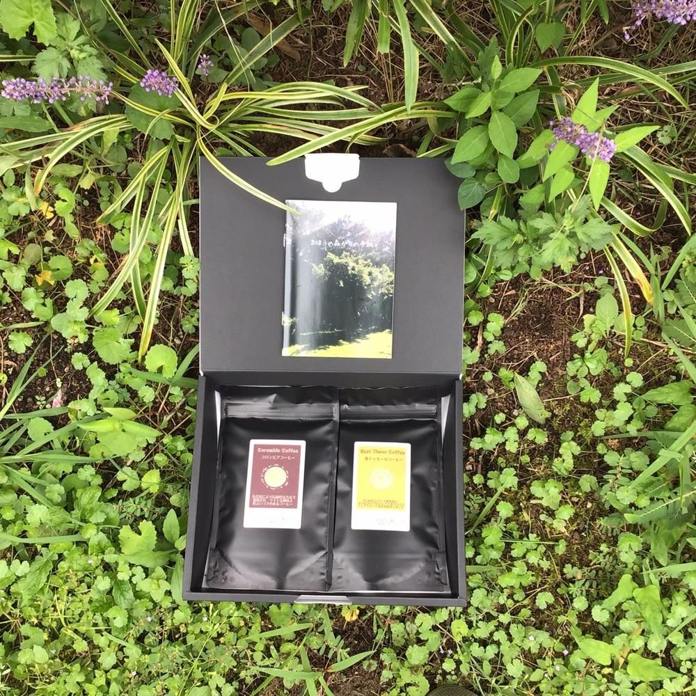 まほうの森からの手紙