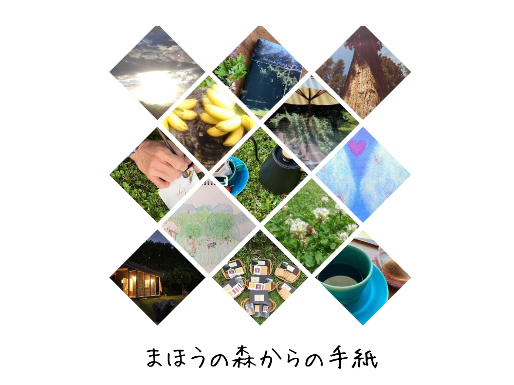 ޤۤομ