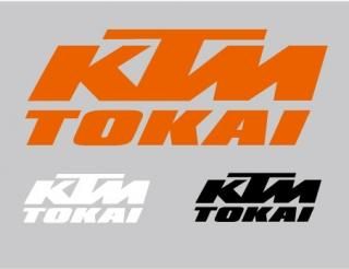 KTM-TOKAI åƥ󥰥ƥå25cm