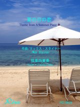 夏の日の恋Theme from A Summer Place