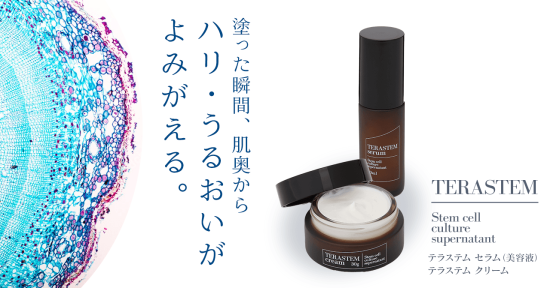 TERASTEM(テラステム)セラム クリーム 30g【ter004】 - 髪師 TERASTEM(テラステム)セラム クリーム 30g【ter004】 - 髪師
