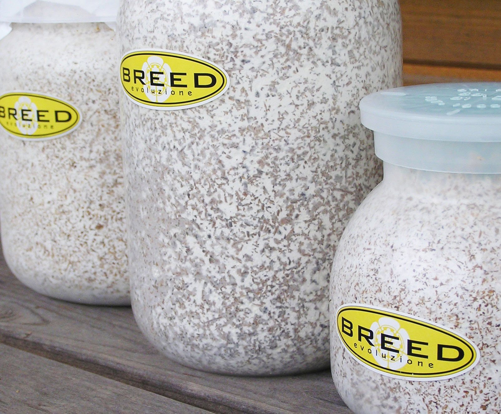 在庫処分大特価 BREED　１５００菌糸ビン　１８本　まる様 虫類用品