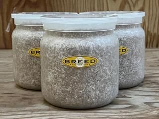 商品検索 - 菌糸ビンのBREED（ブリード）菌糸瓶 販売