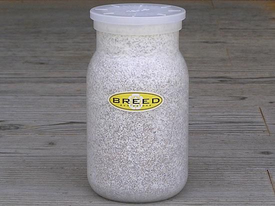 BREED 1100ml 菌糸ビン　単品　好評販売感謝価格 - 菌糸ビンのBREED（ブリード）菌糸瓶　販売