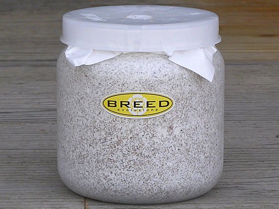 BREED 1500ml 菌糸ビン（２次発菌・手詰め）単品　好評販売感謝価格 - 菌糸ビンのBREED（ブリード）菌糸瓶　販売