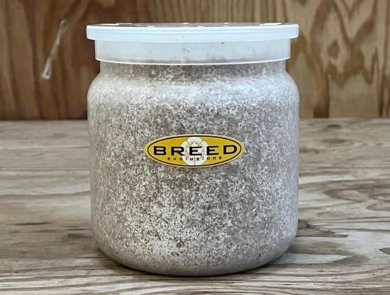 BREED 1500ml 菌糸ビン（２次発菌・手詰め）単品 好評販売感謝価格