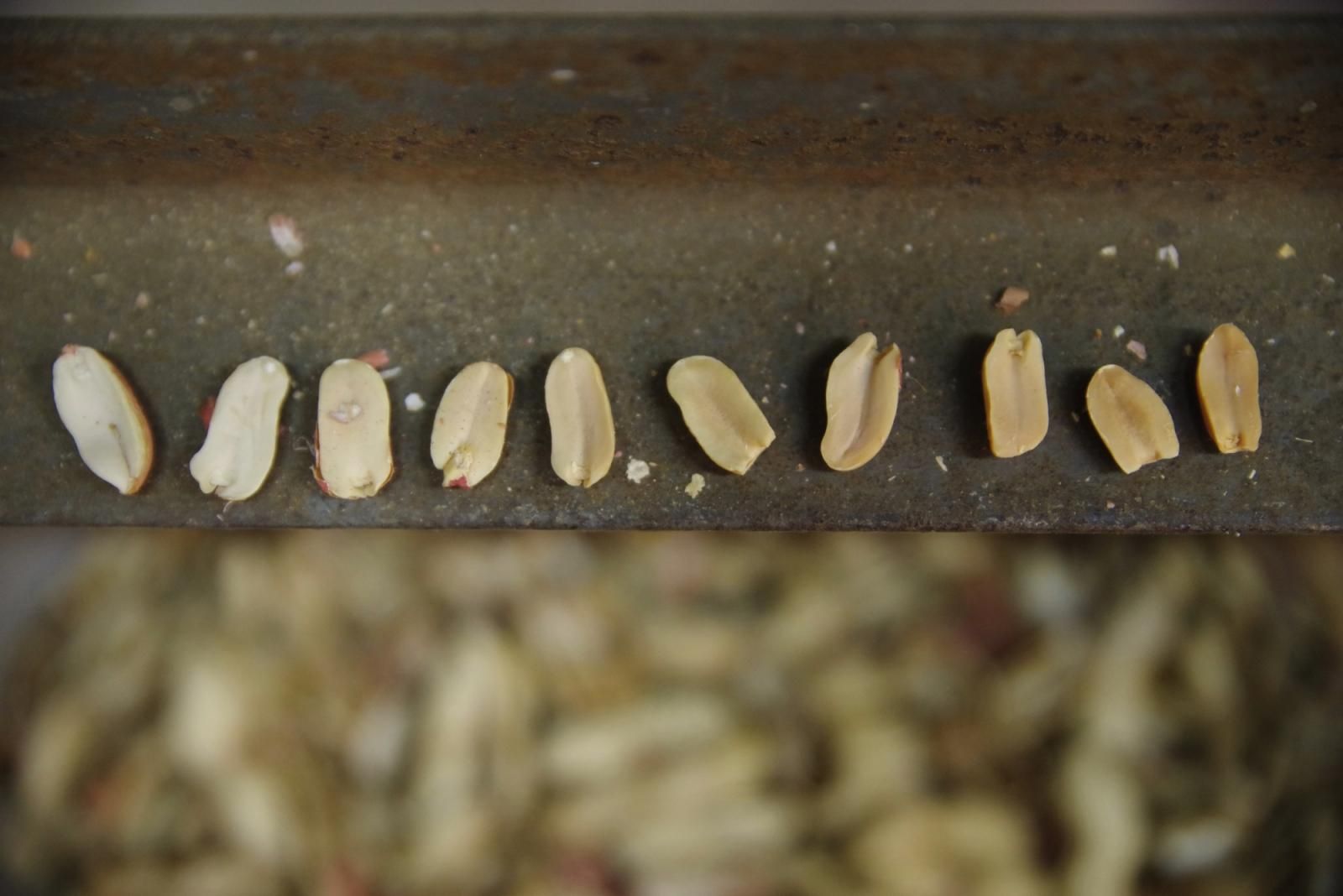 88606060_o7.jpg?cmsp_timestamp