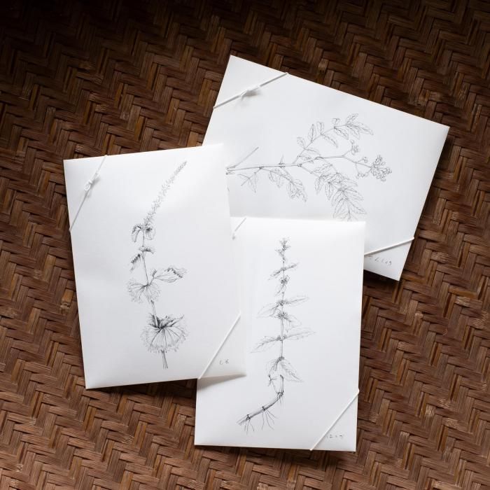 <img class='new_mark_img1' src='https://img.shop-pro.jp/img/new/icons6.gif' style='border:none;display:inline;margin:0px;padding:0px;width:auto;' />Ŧ - Ƥλ糧å