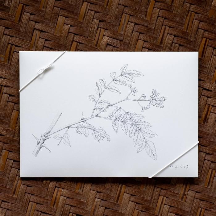 <img class='new_mark_img1' src='https://img.shop-pro.jp/img/new/icons6.gif' style='border:none;display:inline;margin:0px;padding:0px;width:auto;' />Ŧ֤󤷤礦