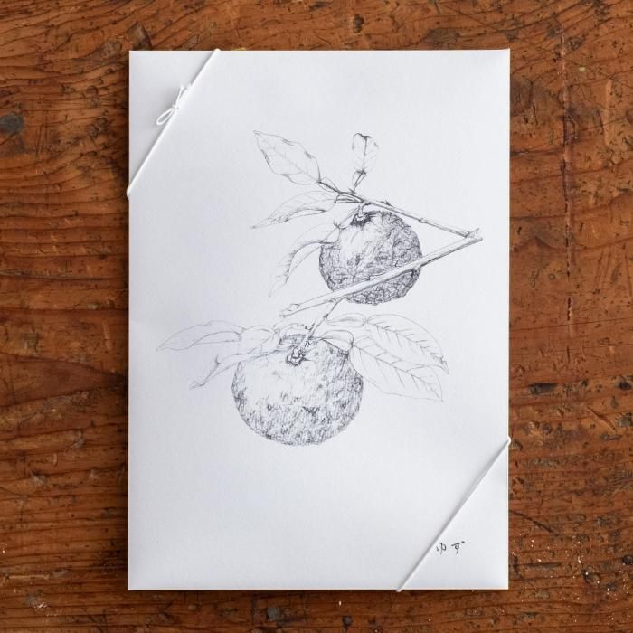 <img class='new_mark_img1' src='https://img.shop-pro.jp/img/new/icons6.gif' style='border:none;display:inline;margin:0px;padding:0px;width:auto;' />Ŧ֤椺