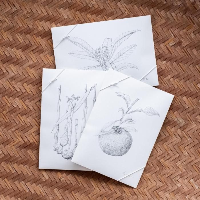 <img class='new_mark_img1' src='https://img.shop-pro.jp/img/new/icons6.gif' style='border:none;display:inline;margin:0px;padding:0px;width:auto;' />Ŧ - ߤλ糧å