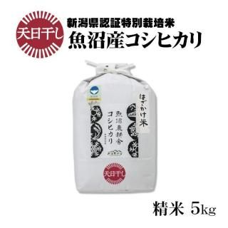 <img class='new_mark_img1' src='https://img.shop-pro.jp/img/new/icons11.gif' style='border:none;display:inline;margin:0px;padding:0px;width:auto;' />ú ŷ 5kgڿơ7ǯ ŷ ̺ »ҥ  5kg1ޡ