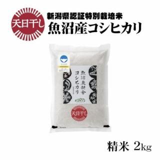 <img class='new_mark_img1' src='https://img.shop-pro.jp/img/new/icons11.gif' style='border:none;display:inline;margin:0px;padding:0px;width:auto;' />ú ŷ 2kgڿơ7ǯ ŷ ̺ »ҥ  2kg1