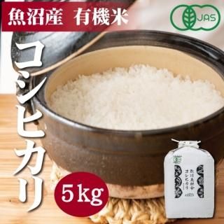 <img class='new_mark_img1' src='https://img.shop-pro.jp/img/new/icons5.gif' style='border:none;display:inline;margin:0px;padding:0px;width:auto;' />5ǯ ̸ JASͭǧ »ҥ ƣkg1