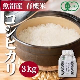 <img class='new_mark_img1' src='https://img.shop-pro.jp/img/new/icons5.gif' style='border:none;display:inline;margin:0px;padding:0px;width:auto;' />5ǯ ̸ JASͭǧ »ҥ  3kg1