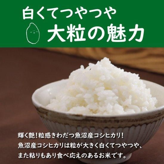 天日干し はざかけ米 魚沼産コシヒカリ 10kg×1袋 手作業で一つ