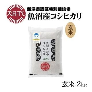 <img class='new_mark_img1' src='https://img.shop-pro.jp/img/new/icons11.gif' style='border:none;display:inline;margin:0px;padding:0px;width:auto;' />ú ŷ 2kgڿơ7ǯ ŷ ̺ »ҥ  2kg1