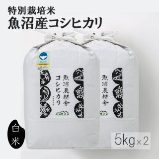 定期便(5%off) 魚沼産コシヒカリ 特別栽培米 精米 10kg (5kg×2袋)