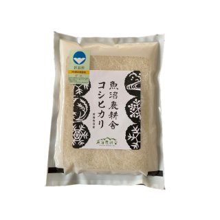 令和4年産  定期便なら5%off 魚沼産コシヒカリ 特別栽培米 精米 1kg×1袋　
