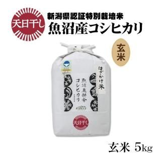 <img class='new_mark_img1' src='https://img.shop-pro.jp/img/new/icons11.gif' style='border:none;display:inline;margin:0px;padding:0px;width:auto;' />ú ŷ 5kgڿơ7ǯ ŷ ̺ »ҥ  5kg1ޡ