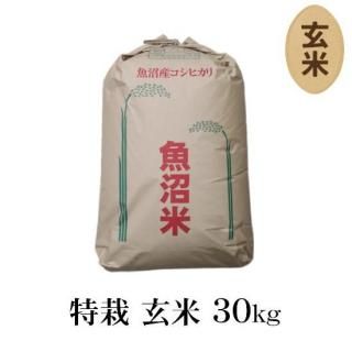 <img class='new_mark_img1' src='https://img.shop-pro.jp/img/new/icons11.gif' style='border:none;display:inline;margin:0px;padding:0px;width:auto;' />ͽۢú  30kgڿơ7ǯ »ҥ ̺  30kg1