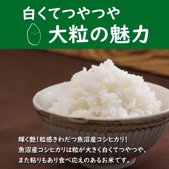 魚沼産コシヒカリ 30kg 玄米 贈答用 お中元 ギフト ご自宅用にも！