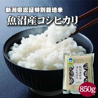  令和5年産  魚沼産コシヒカリ 特別栽培米 精米 850g×1袋　