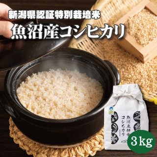  令和5年産 魚沼産コシヒカリ 特別栽培米 玄米 3kg×1袋　