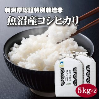  令和5年産 魚沼産コシヒカリ 特別栽培米 精米 10kg (5kg×2袋)