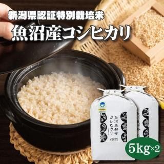 <img class='new_mark_img1' src='https://img.shop-pro.jp/img/new/icons11.gif' style='border:none;display:inline;margin:0px;padding:0px;width:auto;' />ͽۢú  5kg2ڿơ7ǯ »ҥ ̺  10kg (5kg2)