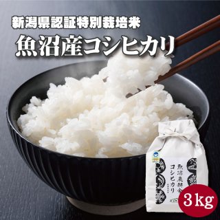  令和5年産 魚沼産コシヒカリ 特別栽培米 精米 3kg×1袋　