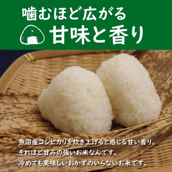 令和6年産 魚沼産コシヒカリ 特別栽培米 玄米 5kg×1袋 | 魚沼農耕舎の特別栽培米 - 魚沼産コシヒカリ直送 魚沼農耕舎公式ショップ