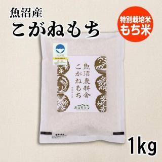 <img class='new_mark_img1' src='https://img.shop-pro.jp/img/new/icons5.gif' style='border:none;display:inline;margin:0px;padding:0px;width:auto;' />ͤ  1kg