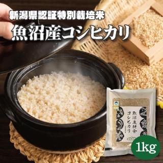 <img class='new_mark_img1' src='https://img.shop-pro.jp/img/new/icons11.gif' style='border:none;display:inline;margin:0px;padding:0px;width:auto;' />ͽۢú  1kgڿơ7ǯ  »ҥ ̺  1kg1ޡ