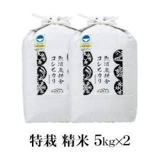 <img class='new_mark_img1' src='https://img.shop-pro.jp/img/new/icons11.gif' style='border:none;display:inline;margin:0px;padding:0px;width:auto;' />ͽۢú  5kg2ڿơ7ǯ »ҥ ̺  10kg (5kg2)