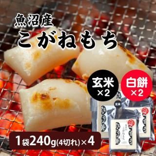 <img class='new_mark_img1' src='https://img.shop-pro.jp/img/new/icons11.gif' style='border:none;display:inline;margin:0px;padding:0px;width:auto;' />ߡ 2ޢ̵ݥȡʡ۵»ͤ 1(4ڤ)4ѥå