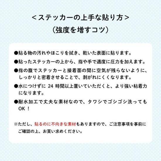 THOMAS&FRIENDS（きかんしゃトーマス）名入れができるくつの絵あわせ