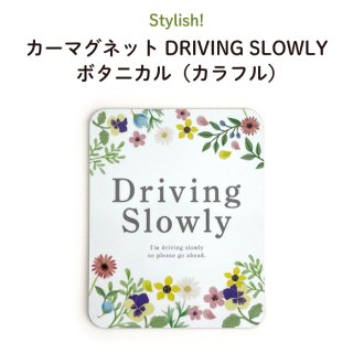Stylish! ޥͥå DRIVING SLOWLY ܥ˥ʥե