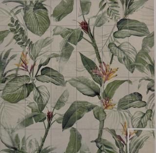 ���ץ�󥰡ʥ�������