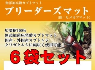 国産・外国産のカブトムシ・クワガタ飼育用品販売専門店ならブリーダーズカンパーニーで！