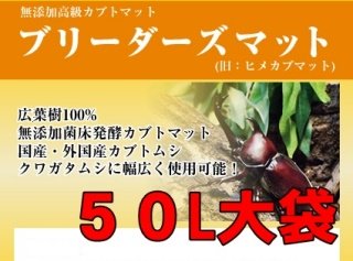 - 国産・外国産のカブトムシ・クワガタ飼育用品販売専門店ならブリーダーズカンパーニーで！