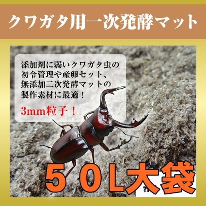 国産・外国産のカブトムシ・クワガタ飼育用品販売専門店ならブリーダー